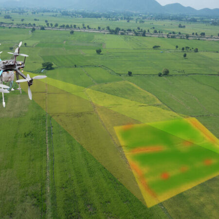 PROCESSAMENTO DE IMAGENS (Valor do hectare, Sob consulta)